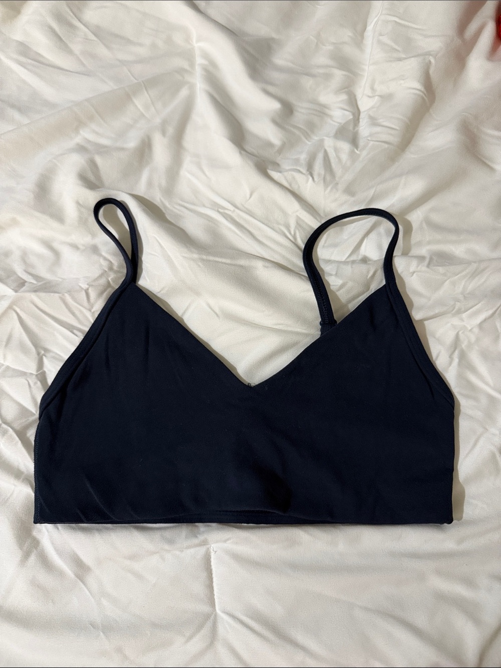Aritzia sports bra